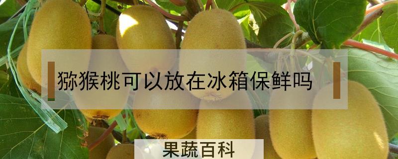 猕猴桃可以放在冰箱保鲜吗