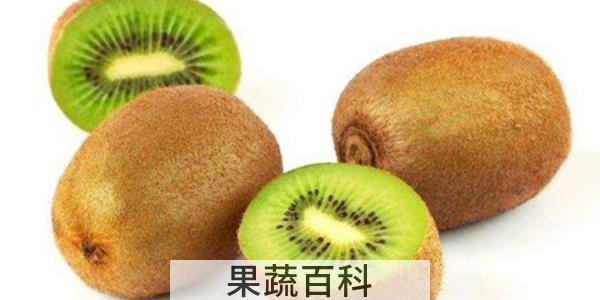 猕猴桃可以放在冰箱保鲜吗