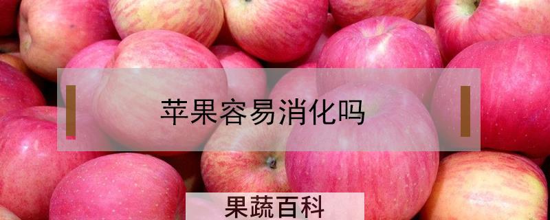 苹果容易消化吗