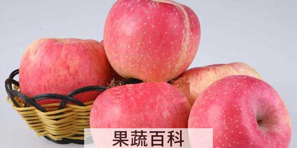 苹果容易消化吗