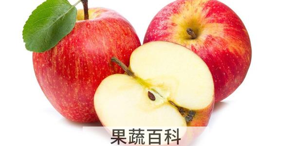 苹果容易消化吗