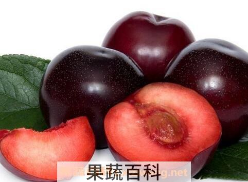 黑布林是什么 