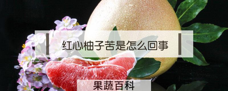 红心柚子苦是怎么回事