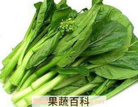吃白菜苔有什么好处和坏处
