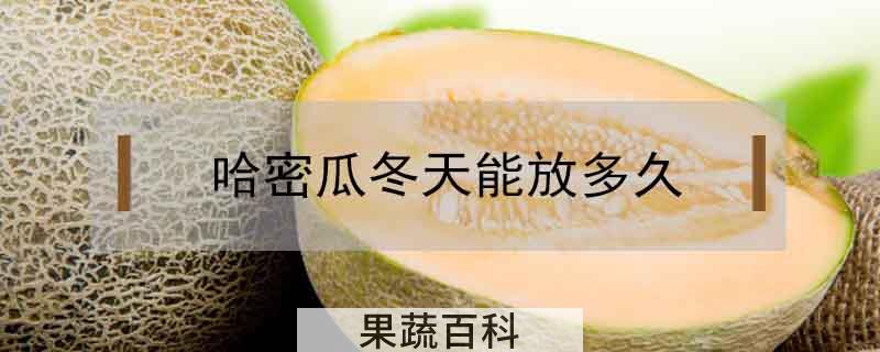 哈密瓜冬天能放多久