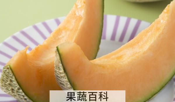 哈密瓜冬天能放多久