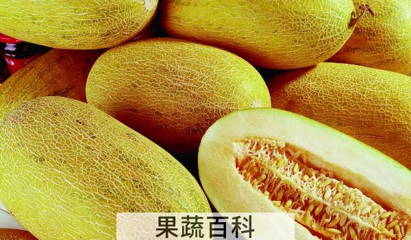 哈密瓜冬天能放多久