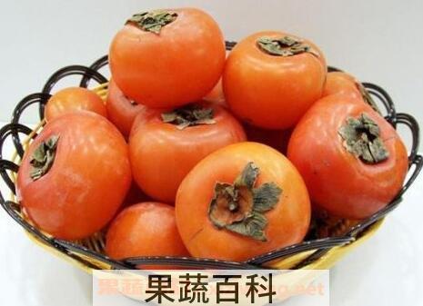 软柿子与硬柿子的区别 