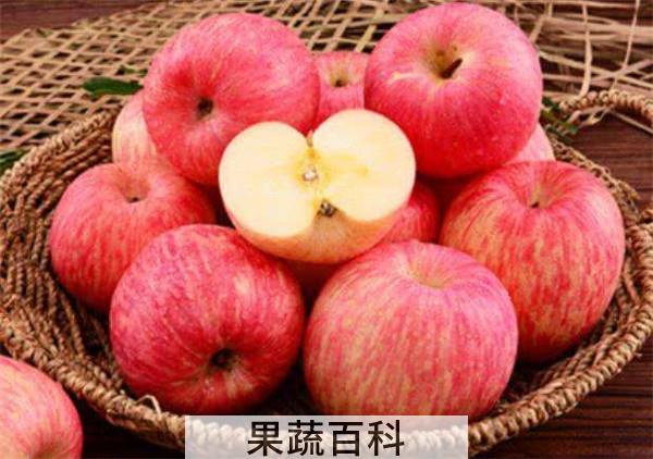 冻了的苹果能吃吗
