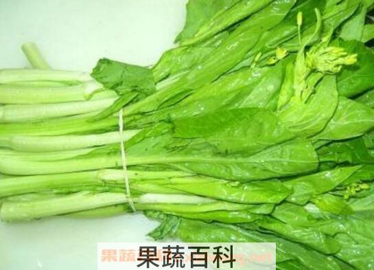 白菜苔和红菜苔的功效