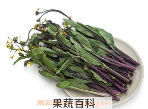 白菜苔和红菜苔的功效