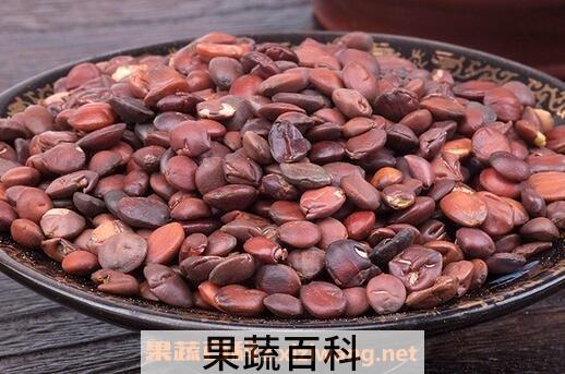 酸枣仁的功效作用与食用方法