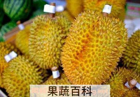 吃榴莲的好处有哪些