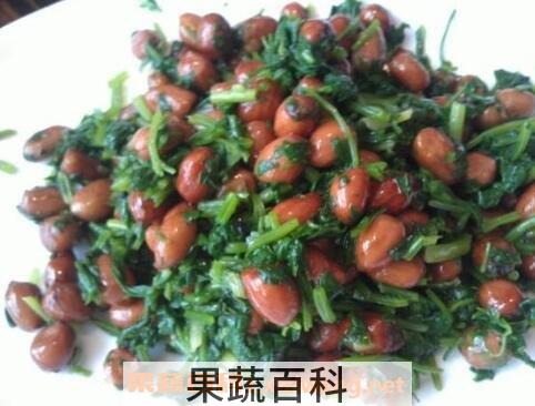  香菜怎么吃 香菜的吃法技巧