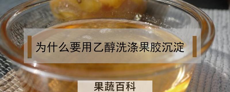 为什么要用乙醇洗涤果胶沉淀