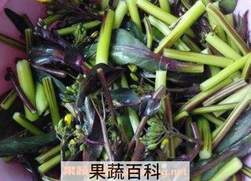 菜苔的功效与作用