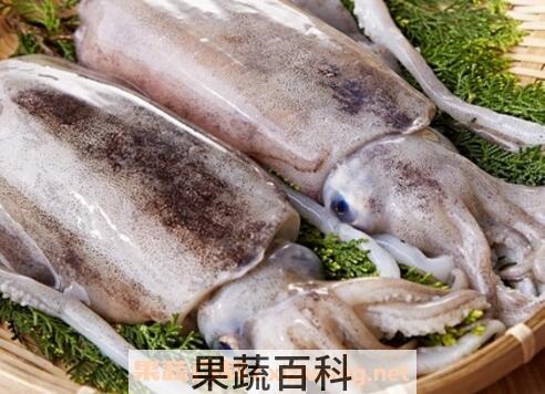 墨鱼的营养价值和功效