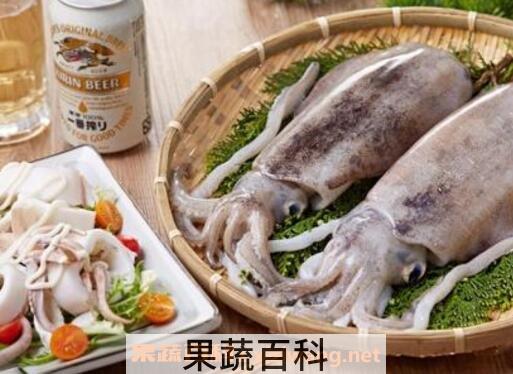 墨鱼的营养价值和功效