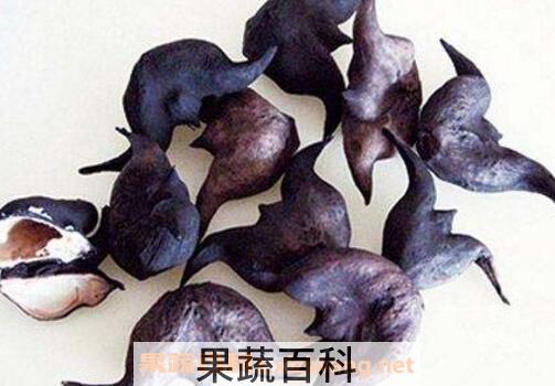 菱角怎么吃 菱角的吃法技巧