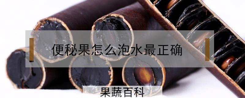 便秘果泡水喝要剥皮吗
