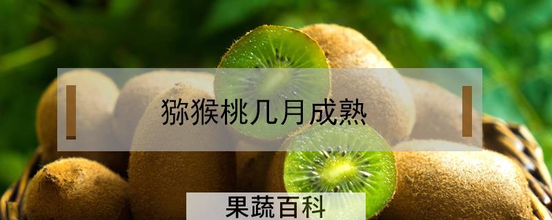 猕猴桃几月成熟