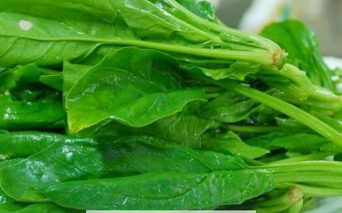 宝宝吃菠菜的功效与作用及营养价值 宝宝吃菠菜的功效与作用及禁忌