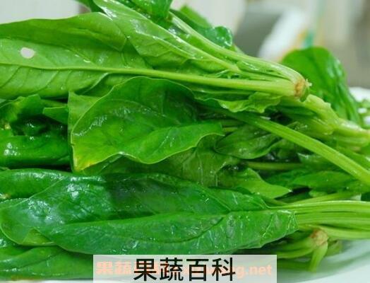  宝宝吃菠菜的功效与作用