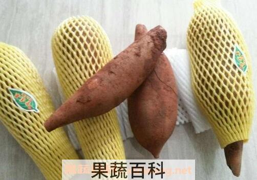 雪莲果的营养价值 