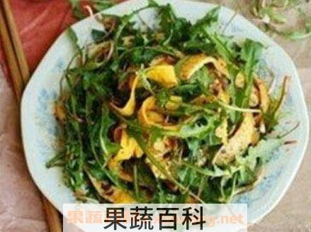 食用蒲公英的功效与作用
