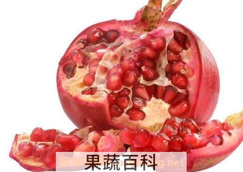 酸石榴的营养价值与功效