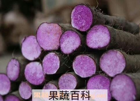 紫玉山药的功效与作用