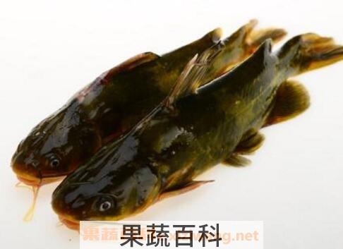 黄古鱼的功效与作用