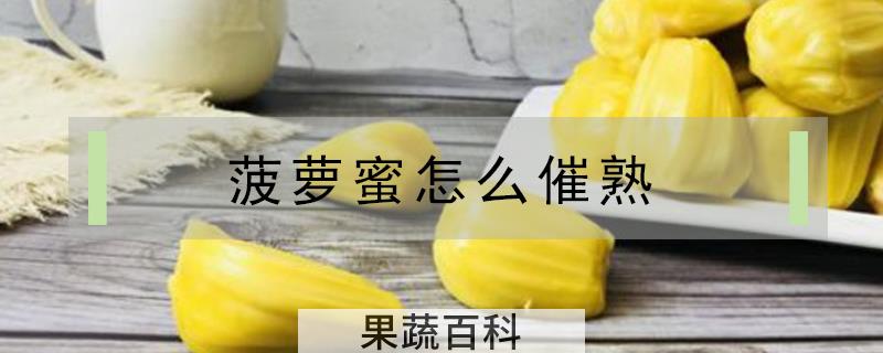 菠萝蜜怎么催熟