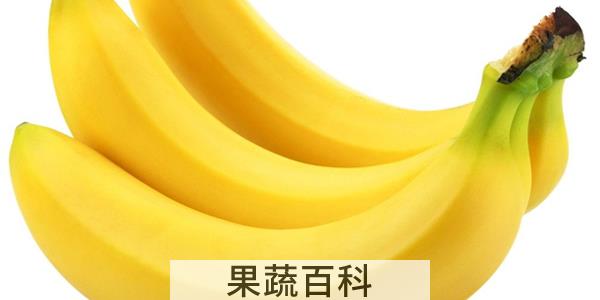 吃不完的香蕉可以冻起来吗