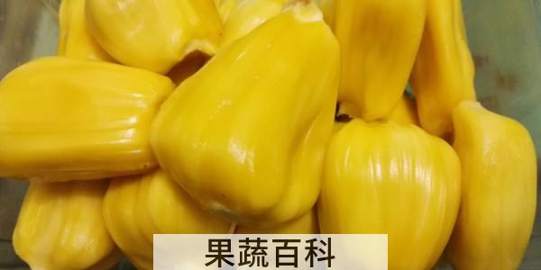 盐可以催熟菠萝蜜吗