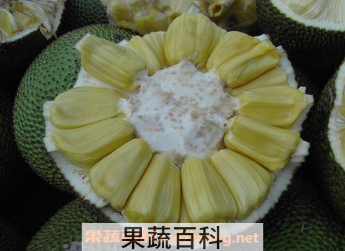 如何预防菠萝蜜粘手