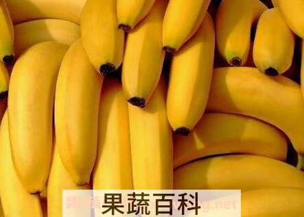 女性月经期间能吃香蕉吗