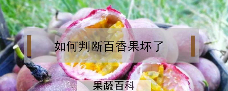 如何判断百香果坏了