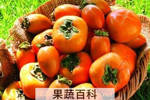 秋天吃柿子的好处有哪些
