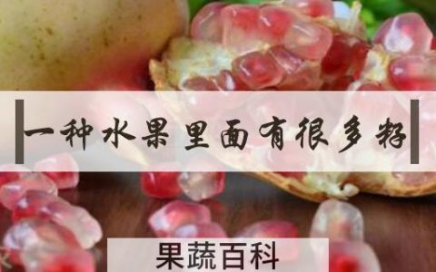 一种水果里面有很多籽