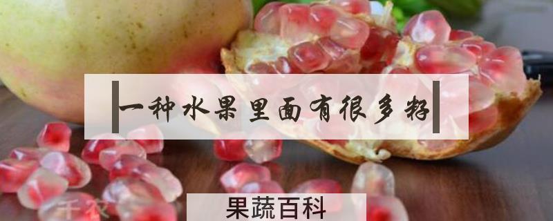 一种水果里面有很多籽
