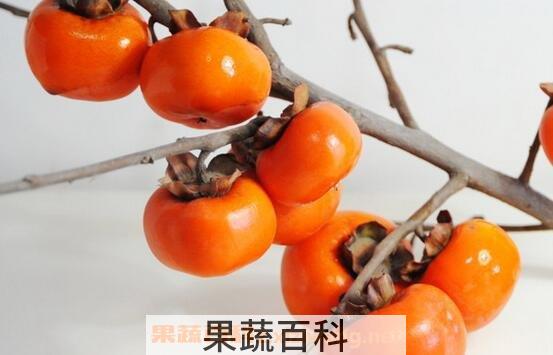 空腹吃柿子好吗 