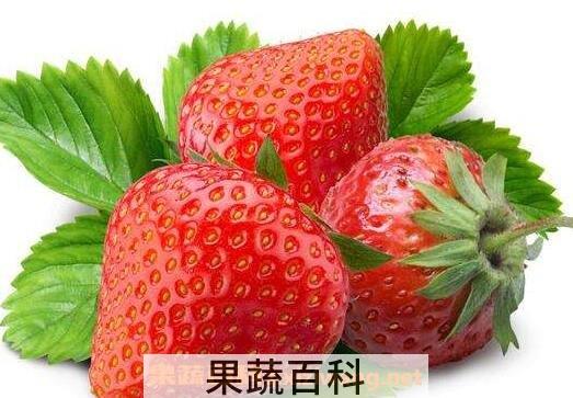 孕妇吃什么水果好
