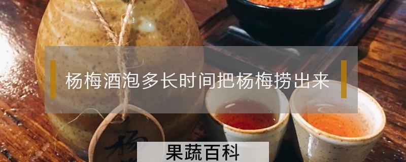 杨梅酒泡多长时间把杨梅捞出来