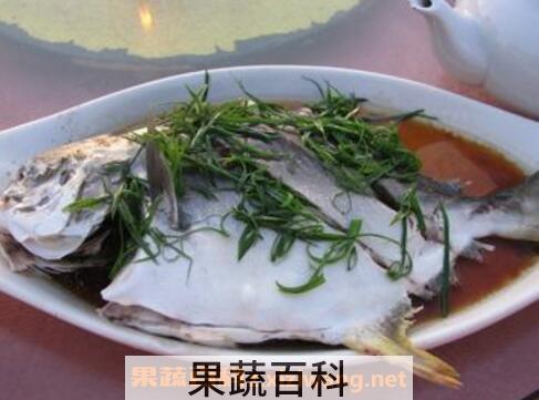 白仓鱼的营养与功效