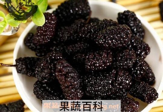 桑葚子的功效与作用