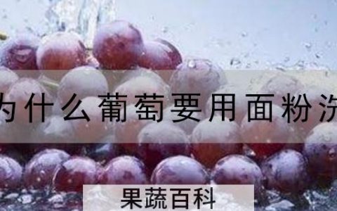 为什么葡萄要用面粉洗