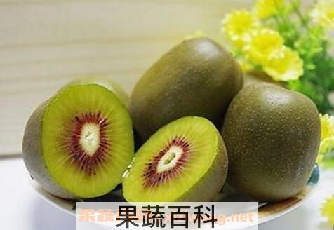 猕猴桃不熟怎么办