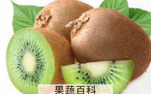 猕猴桃怎么催熟 吃猕猴桃要注意什么