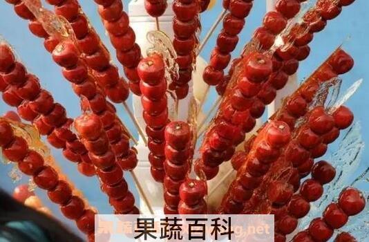 冰糖葫芦的功效与作用